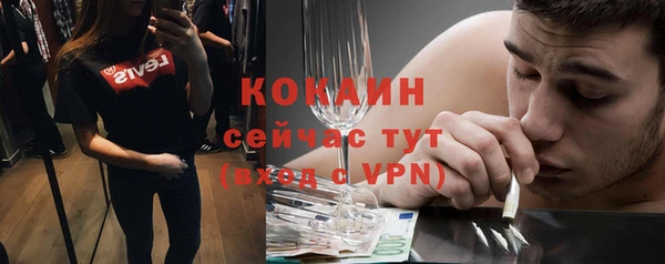 прущий лед Богородицк
