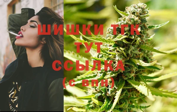 прущий лед Богородицк