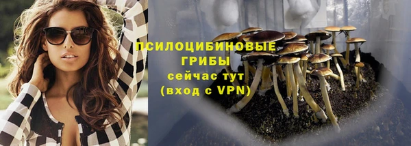 прущий лед Богородицк