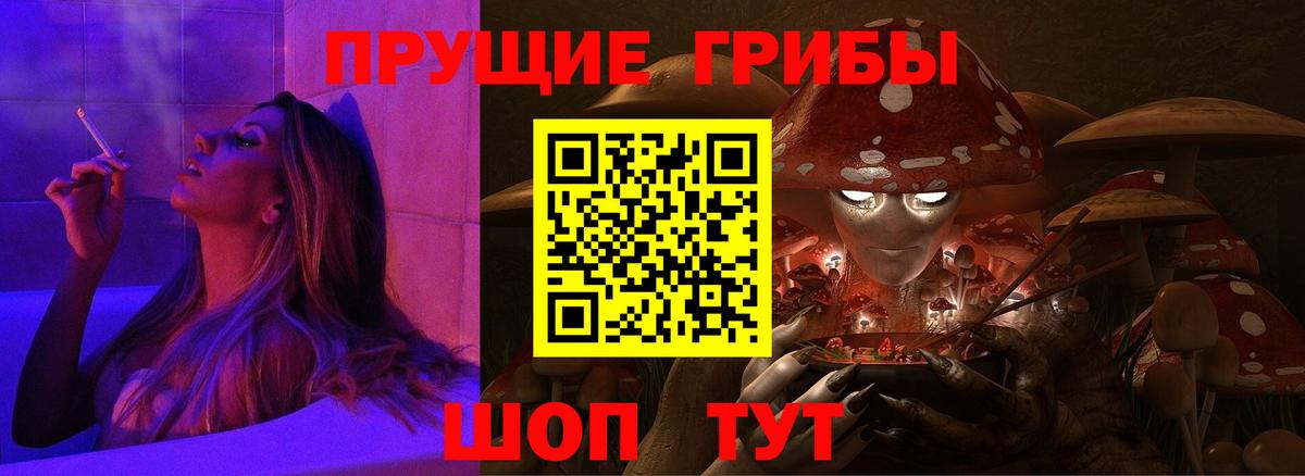 Дагестанские Огни  Псилоцибиновые грибы GOLDEN TEACHER  Галлюциногенные грибы Cubensis  Вход с VPN 